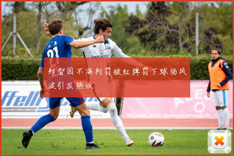 郑智因不满判罚被红牌罚下球场风波引发热议